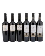 LOTE 6 BOTELLAS TINTO RESERVA RIOJA SOMONTANO 71800022