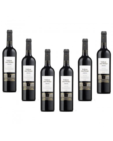 CAJA 6 BOTELLAS V. VIÑAS DE VERO CUVEE RVA