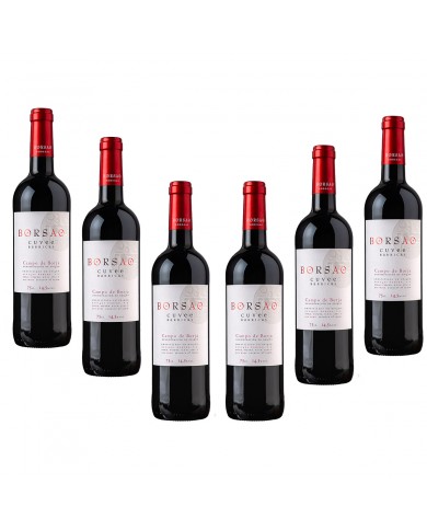 CAJA 6 BOTELLAS VINO BORSAO CUVEE BARRICA