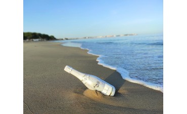 Nuestra selección de vinos de verano